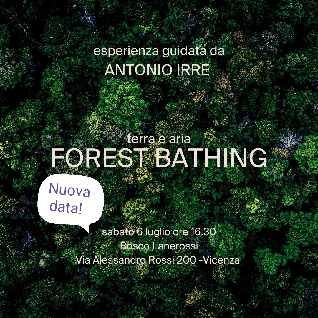 Forest Bathing to save a urban forest! – Antonio Irre